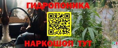 кокс Кингисепп
