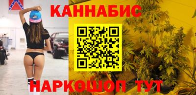 кокс Кингисепп