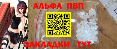 кокс Кингисепп