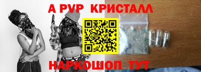 кокс Кингисепп