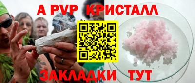 кокс Кингисепп
